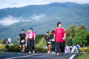 BIB: 
                            <button type="button" onclick="openModal(26542073)" class="btn btn-primary btn-sm float-right btn-popup" data-toggle="modal" data-target=".modal-high-quality">
                        <i class="fas fa-shopping-cart"></i> Add to Cart
                    </button>
                                            <button type="button" onclick="isThisMe(26542073, true)" class="btn btn-success btn-sm float-right btn-popup btn-isme hidden" data-toggle="tooltip" data-placement="bottom" title="นี่คือรูปของคุณใช่ไหม คลิกที่นี่เพื่อเอาเข้าอัลบั้ม">
                        <i class="fas fa-plus"></i> Add to album
                    </button>
                    <button type="button" onclick="isThisMe(26542073, false)" class="btn btn-warning btn-sm float-right btn-popup btn-isnotme hidden">
                        <i class="fas fa-ban"></i> Remove from album
                    </button>